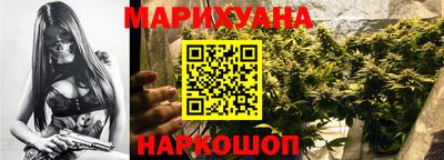 крисы Будённовск
