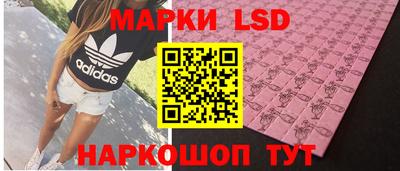 крисы Будённовск