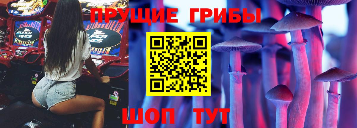 Нальчик  Галлюциногенные грибы Cubensis  Вход с VPN 